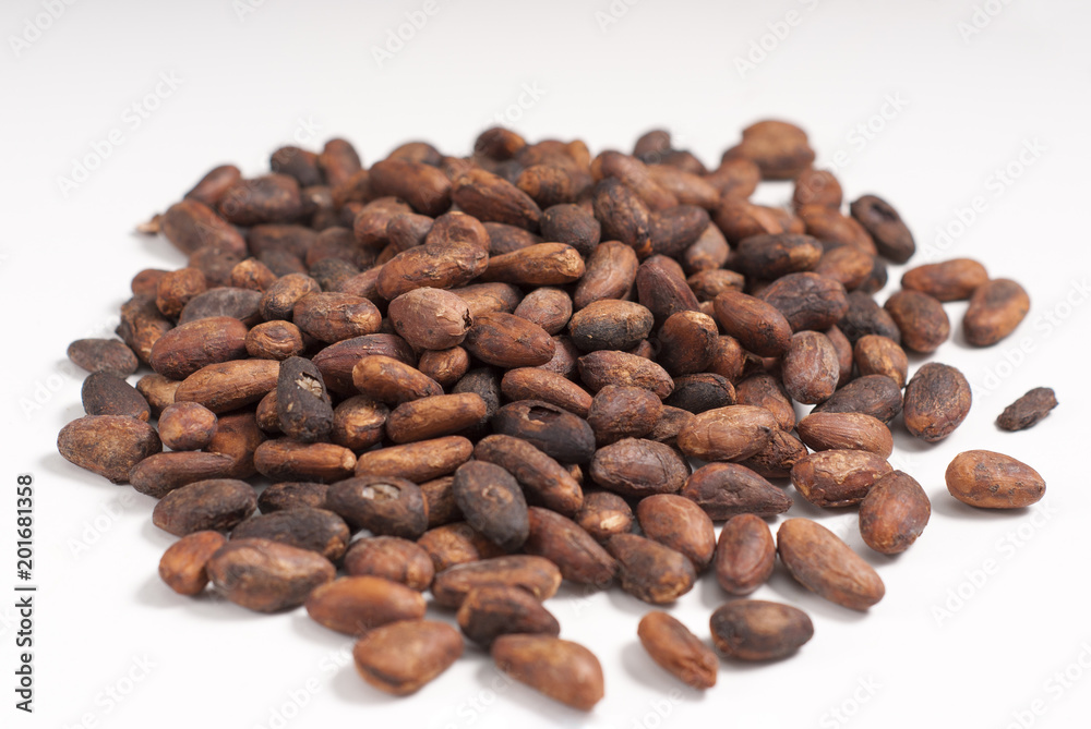 Naklejka premium Semillas de Cacao