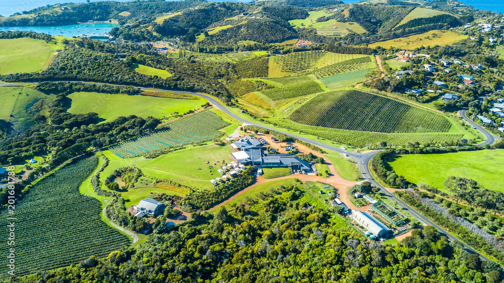 Aerial view on a beautiful hill side with vineyards and orchids with sunny harbour on the background. Waiheke Island, Auckland, New Zealand.