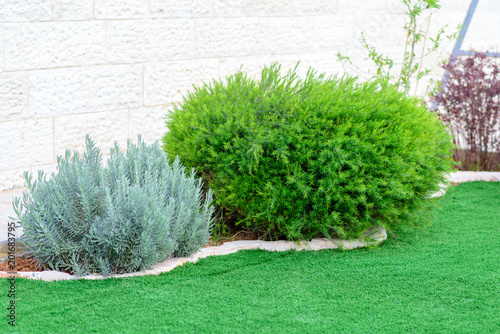 Photo Landscaped Format, yard with garden design