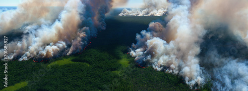 Quadro su tela Forest fire, top view
