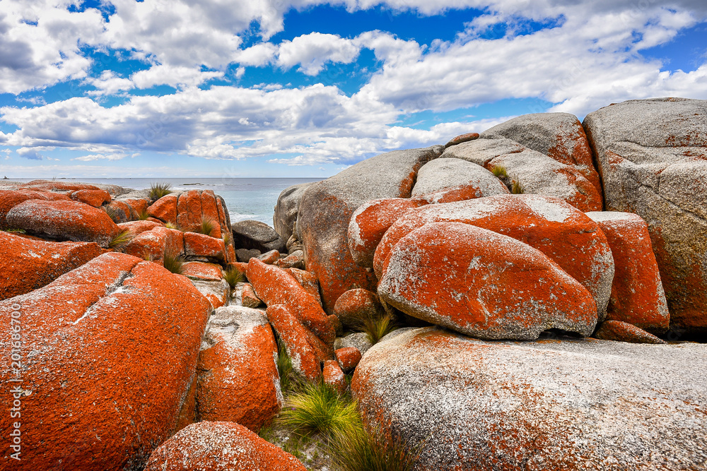 Beautiful sunny summer coast view from Bay Of Fires to blue Tasman Sea with crystal clear water surrounded by red orange colorful shore rocks and white sandy beach, Binalong Bay, Tasmania, Australia