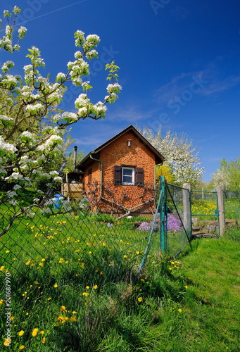 Schrebergarten mit Gartenhaus