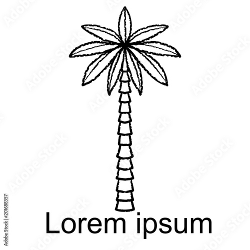 Coconut palm tree icon, logo