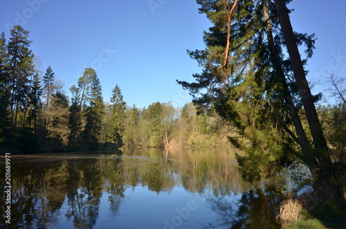 Fototapeta Naklejka Na Ścianę i Meble -  Olsztyn