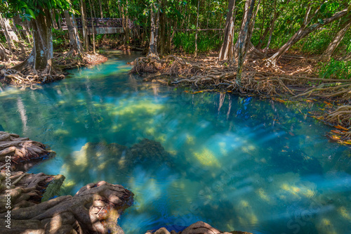 Amazing crystal clear emerald canal with mangrove forest , Krabi province, Thailand