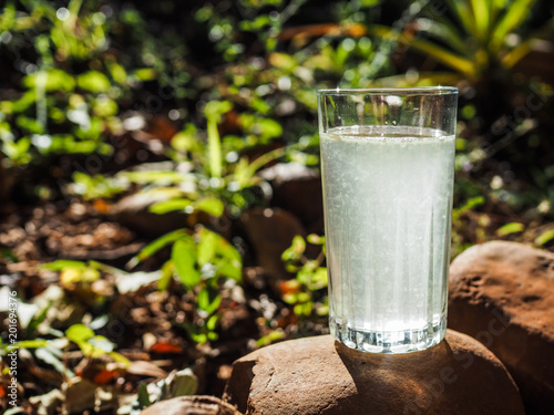 clear glass of lemon water standing outside of stones in nature sourrounded by a green forest during a fasting photo