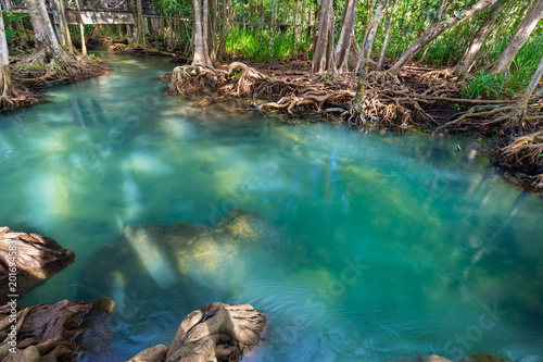 Fototapeta Naklejka Na Ścianę i Meble -  Amazing crystal clear emerald canal with mangrove forest , Krabi province, Thailand