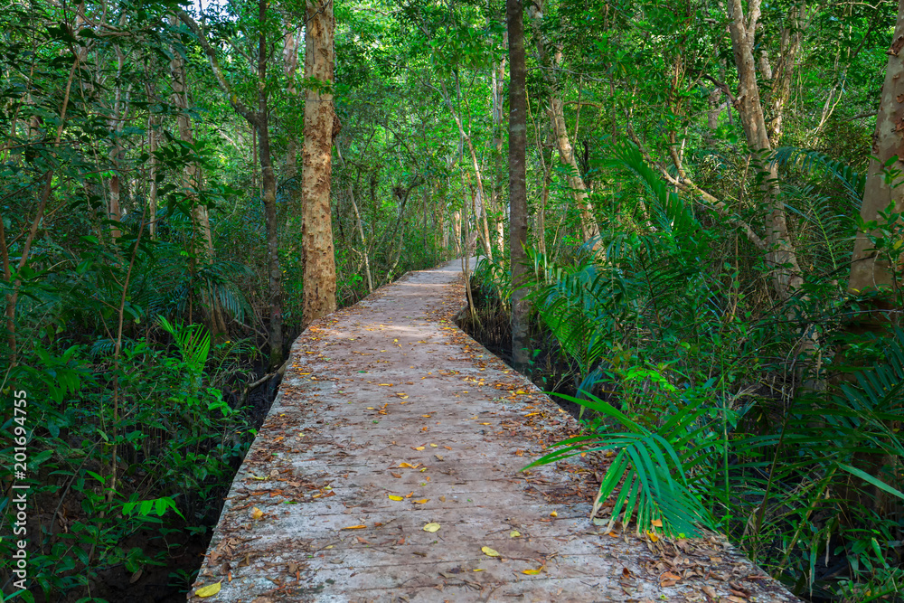 Obraz premium Wooden bridge through vibrant green mangrove forest and river with turquoise water at Tha Pom canal, Krabi province, Thailand