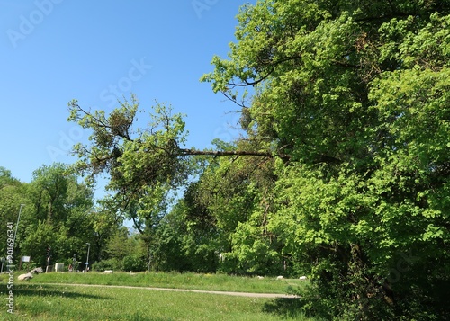 Parc du Bachais