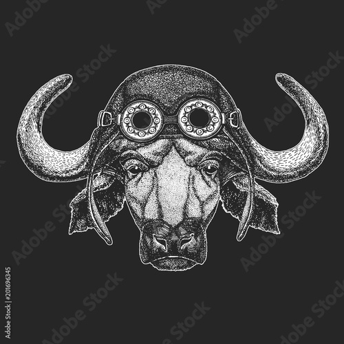 Buffalo, bull, ox Hand drawn illustration for tattoo, emblem, badge, logo, patch, t-shirt Cool animal wearing aviator, motorcycle, biker helmet.
