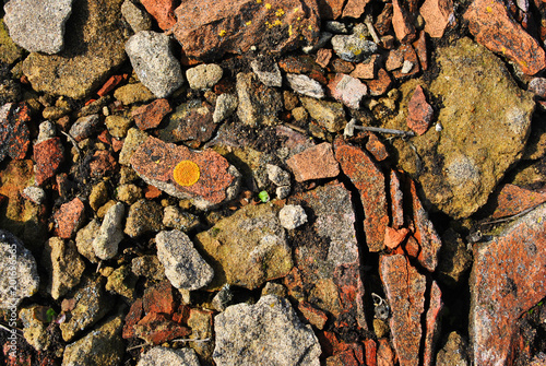 Crushed red bricks stones with yellow moss, spring bright sun light, grunge horizontal background texture