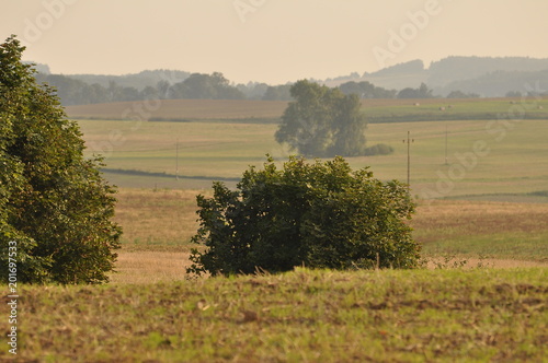 Góra Dylewska photo