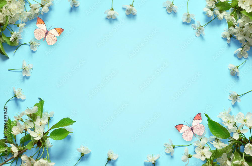 Cherry blossom in wild and butterfly.