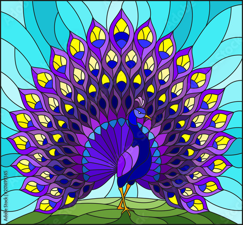 Illustration in stained glass style with colorful peacock on blue sky   background