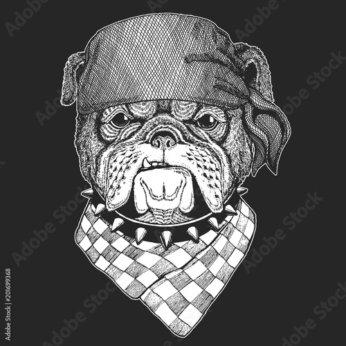 Bulldog Hand drawn vintage image for t-shirt, tattoo, emblem, badge, logo, patch