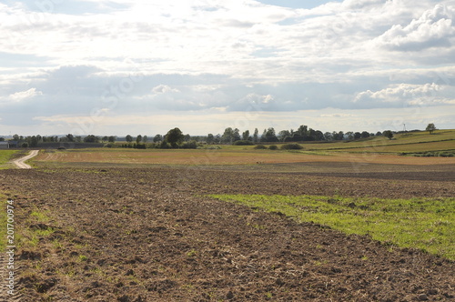 Podobny obraz