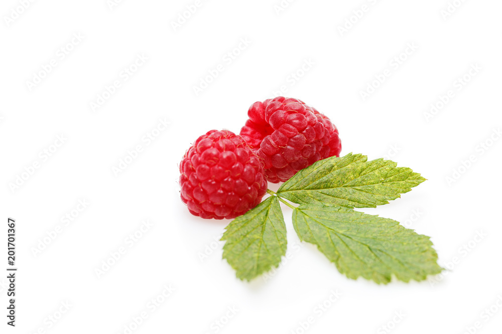 raspberry berries isolated on white raspberry berries isolated on white