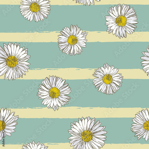Daisy ,common daisy . Hand draw sketch vector. illustration seamless pattern vector.