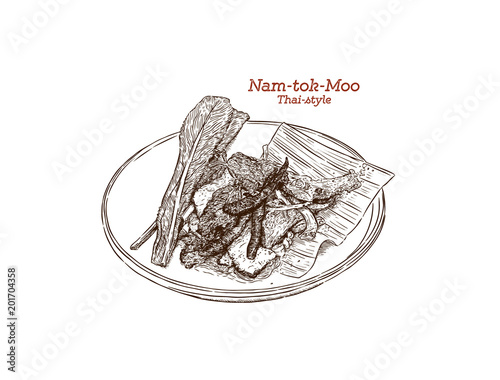 Grilled Pork Spicy Salad Thai style, Nam Tok Moo. Hand draw sketch vector.