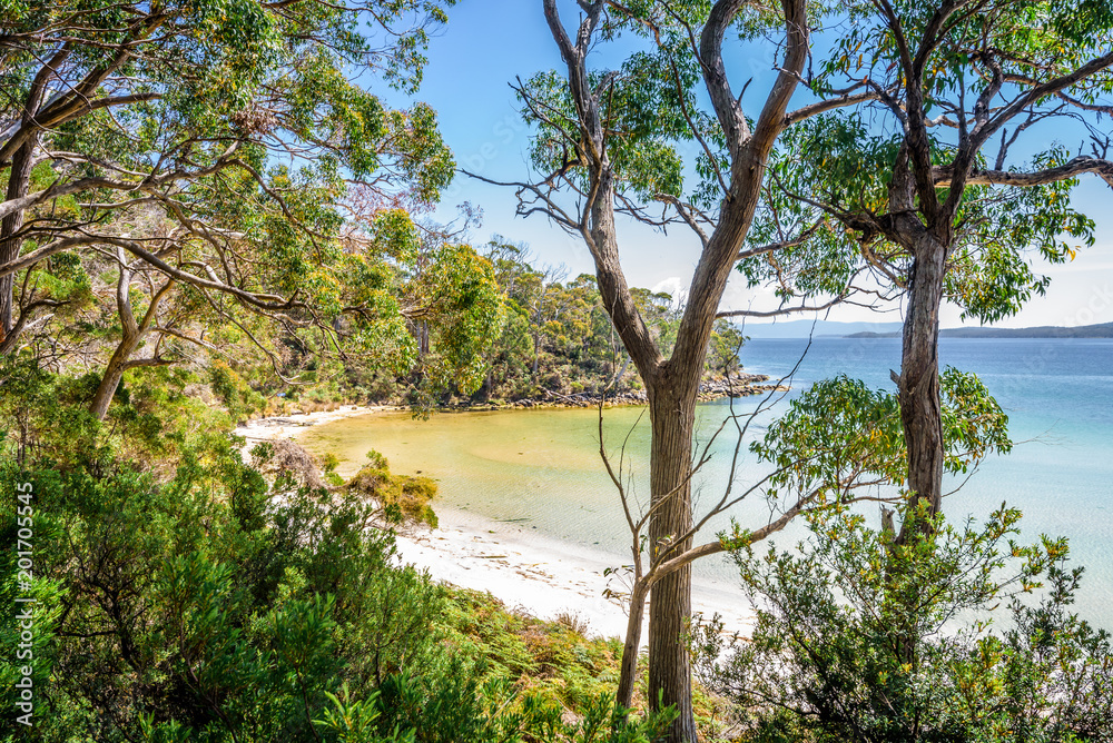 Amazing view to small paradise like island sandy beach with turquoise blue water and green shore jungle forest on warm sunny clear sky day camping ground, Jetty Beach Bruny Island, Tasmania, Australia