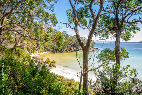 Obraz na płótnie Amazing view to small paradise like island sandy beach with turquoise blue water and green shore jungle forest on warm sunny clear sky day camping ground, Jetty Beach Bruny Island, Tasmania, Australia w salonie