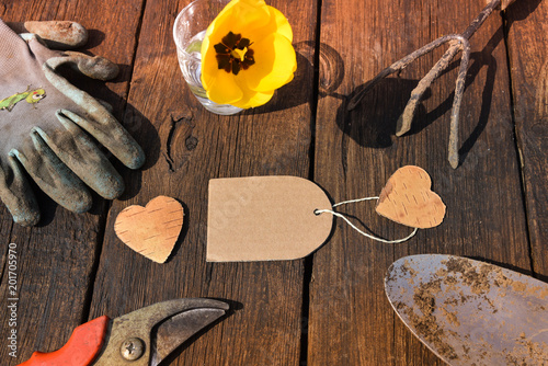 Top view of gardening stuff and placeholder on wooden background photo