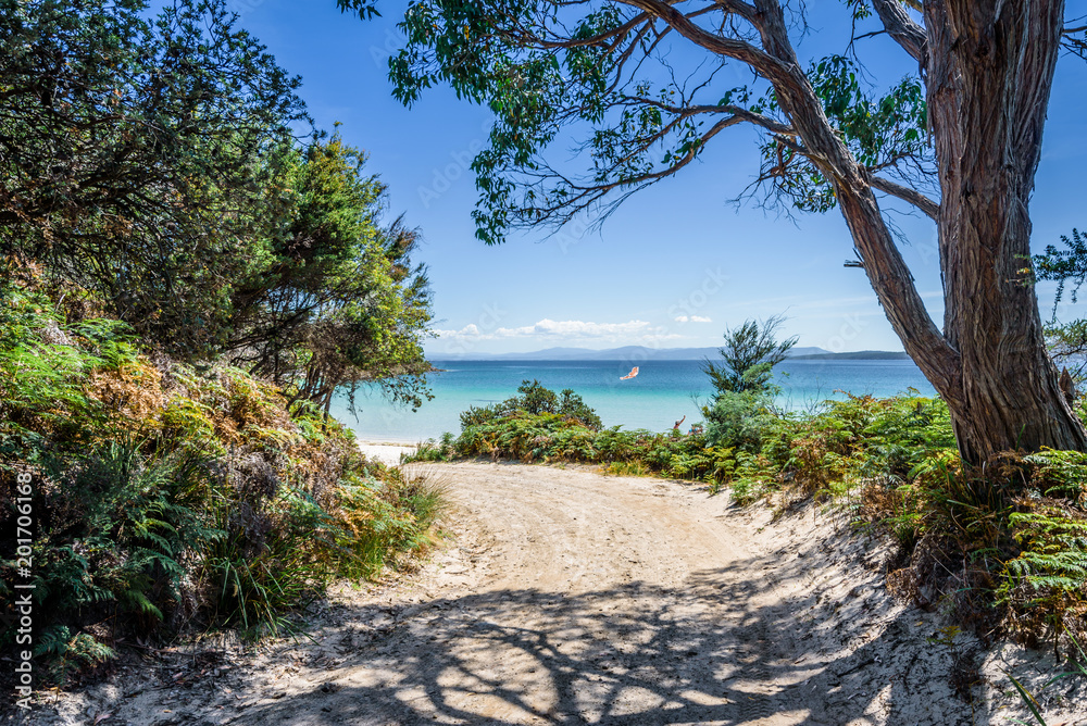 Amazing view to small paradise like island sandy beach with turquoise blue water and green shore jungle forest on warm sunny clear sky day camping ground, Jetty Beach Bruny Island, Tasmania, Australia