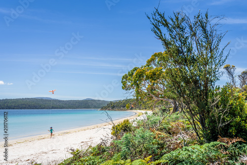 Amazing view to small paradise like island sandy beach with turquoise blue water and green shore jungle forest on warm sunny clear sky day camping ground  Jetty Beach Bruny Island  Tasmania  Australia