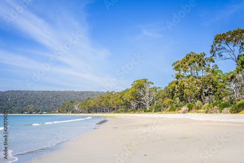 Amazing view to great paradise island sandy beach with turquoise blue water and green shore jungle forest on warm sunny clear sky relaxing day  River Adventure Bay  Bruny Island  Tasmania  Australia