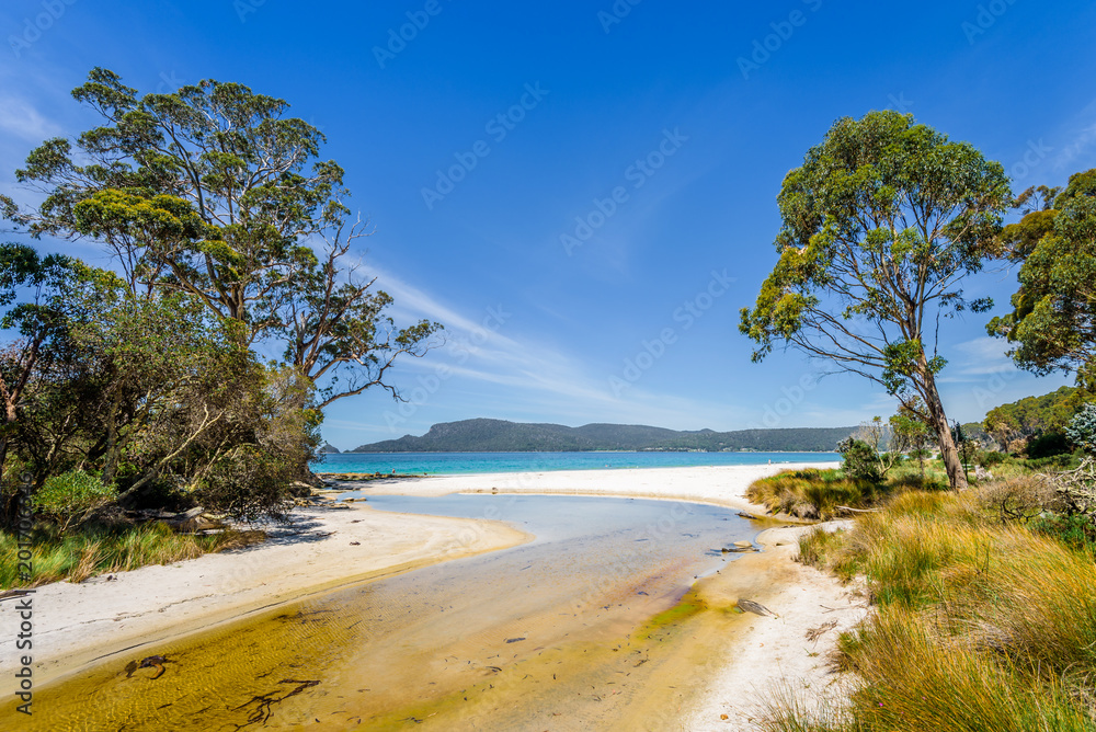 Amazing view to great paradise island sandy beach with turquoise blue water and green shore jungle forest on warm sunny clear sky relaxing day, River Adventure Bay, Bruny Island, Tasmania, Australia