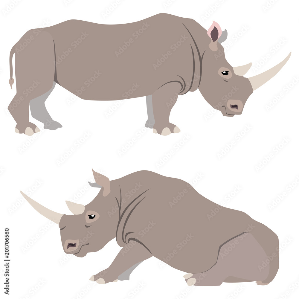 Vector illustration of standing and sitting rhinoceroses isolated on white background Vector illustration of standing and sitting rhinoceroses isolated on white background