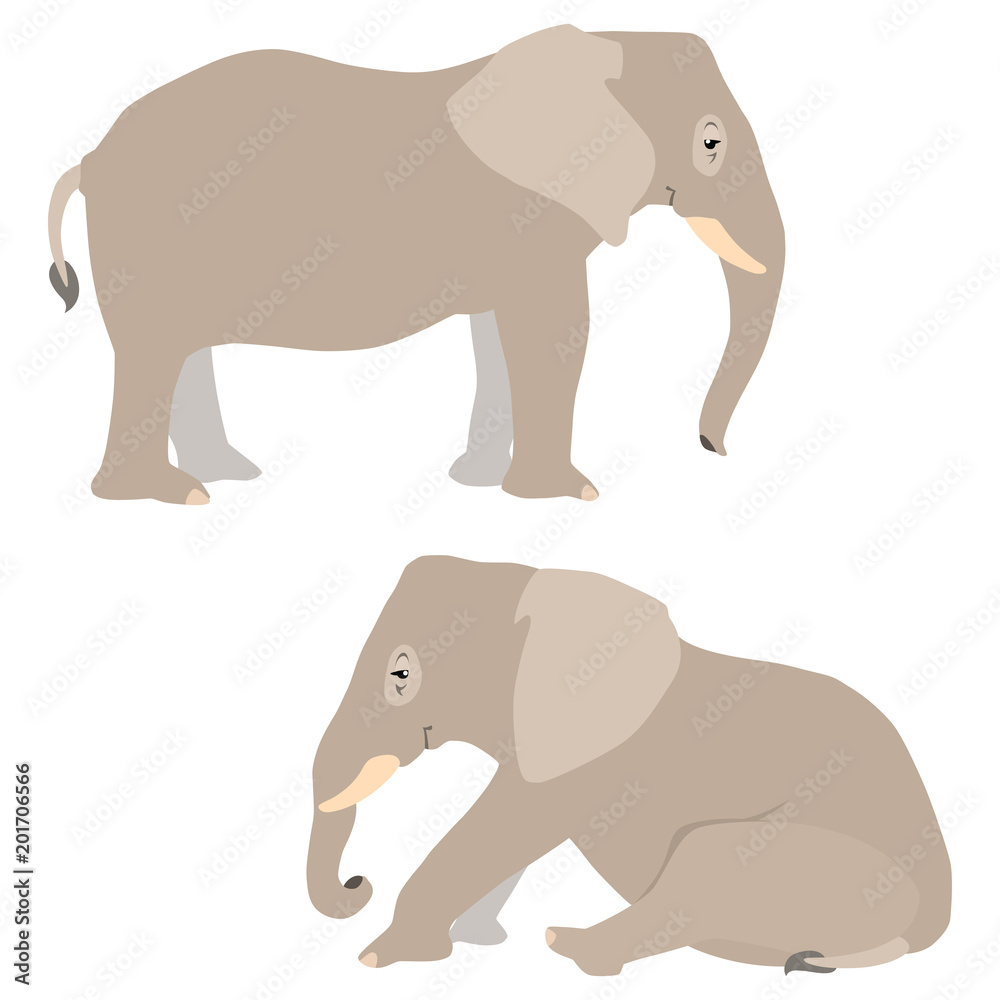 Fototapeta premium Vector illustration of standing and sitting elephants isolated on white background