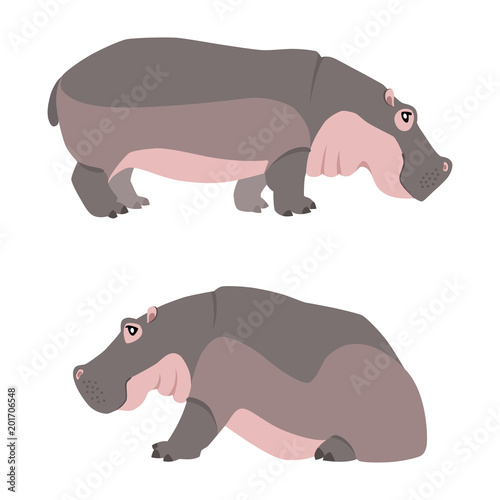 Vector illustration of walking and sitting hippopotamuses isolated on white background