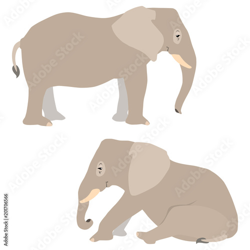 Vector illustration of standing and sitting elephants isolated on white background