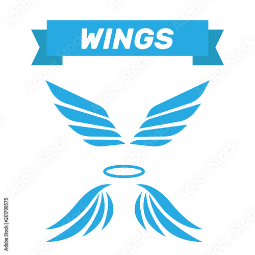 Eagle wings vector. Wings angel isolated. Bird wings cartoon art set