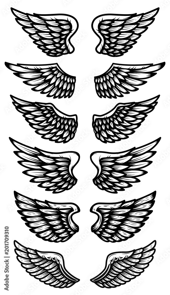 Set of wings isolated on white background. Design element for logo, label, emblem, sign. Set of wings isolated on white background. Design element for logo, label, emblem, sign.