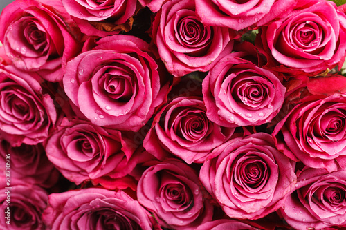 many fresh pink roses 