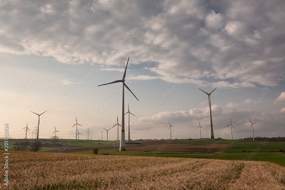 Obraz premium Windpark auf Ackerland