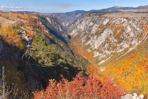 Mountain landscape scene in remote canyon Susica at Montenegro