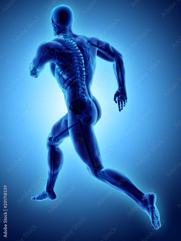 3d illustration male running pose with x-ray skeleton joint, medical concept. 3d illustration male running pose with x-ray skeleton joint, medical concept.