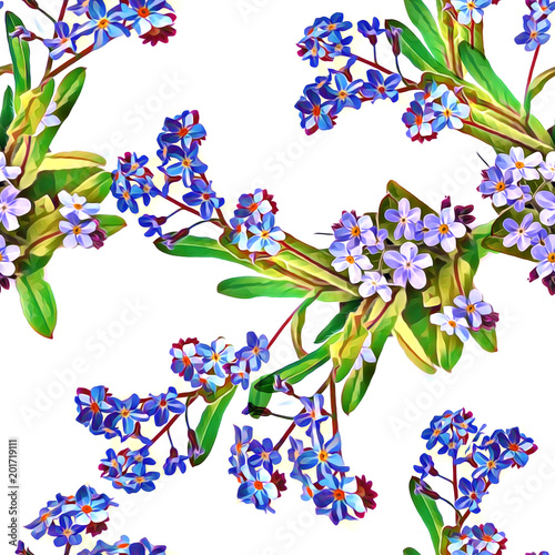 Forget me not seamless pattern.