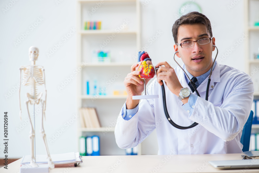 Doctor explaining the heart model Doctor explaining the heart model
