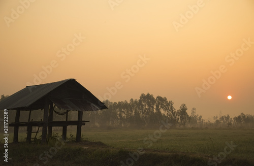The farmer's cottage at rice field in the morning.