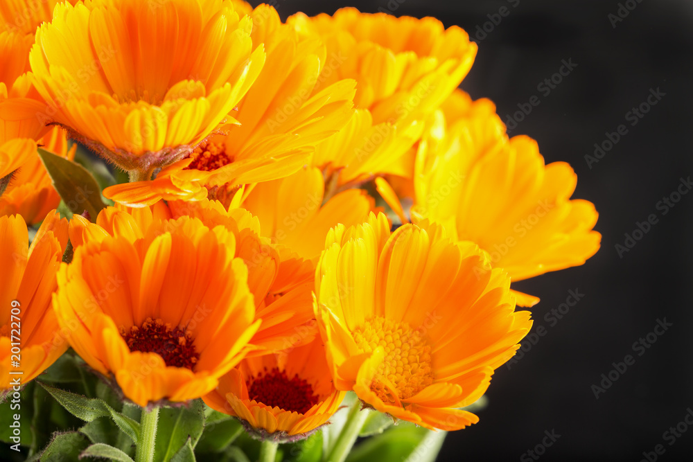 Yellow daisies over black background Yellow daisies over black background