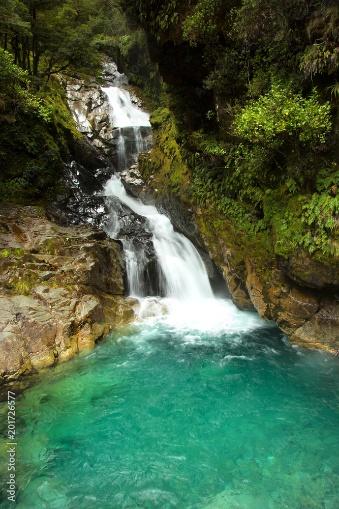 Falls creek waterfall near MIlford sound in South island in New Zealand Falls creek waterfall near MIlford sound in South island in New Zealand