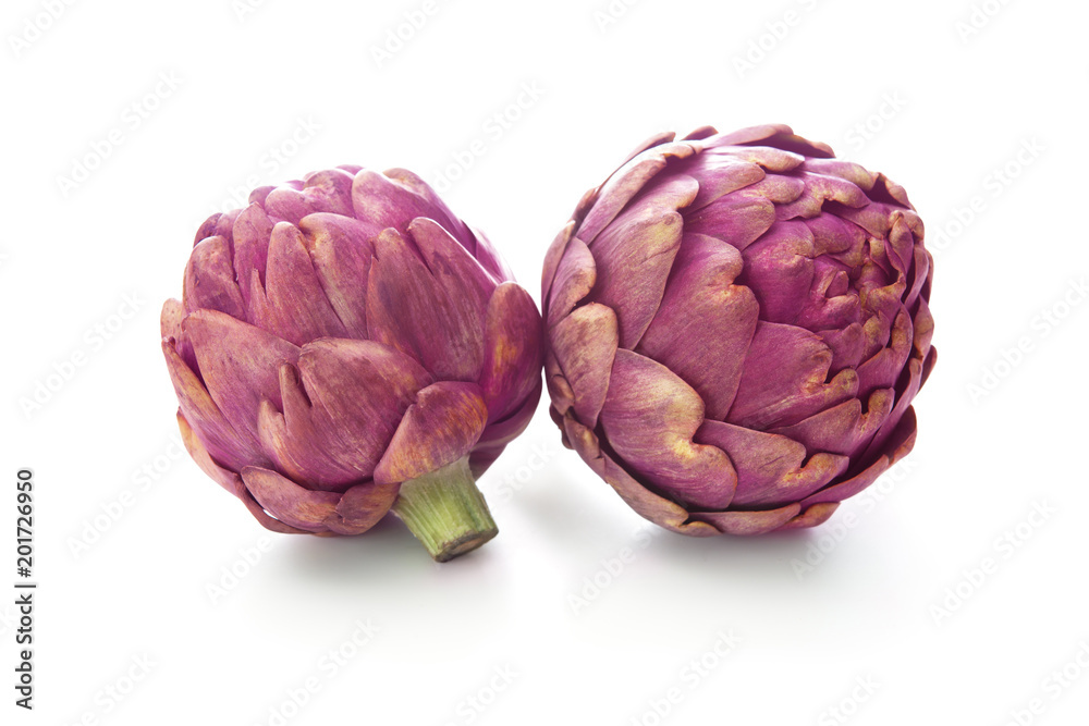 Purple artichokes on white background Purple artichokes on white background