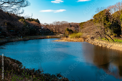 Izumi forest duck pond © Hanstography
