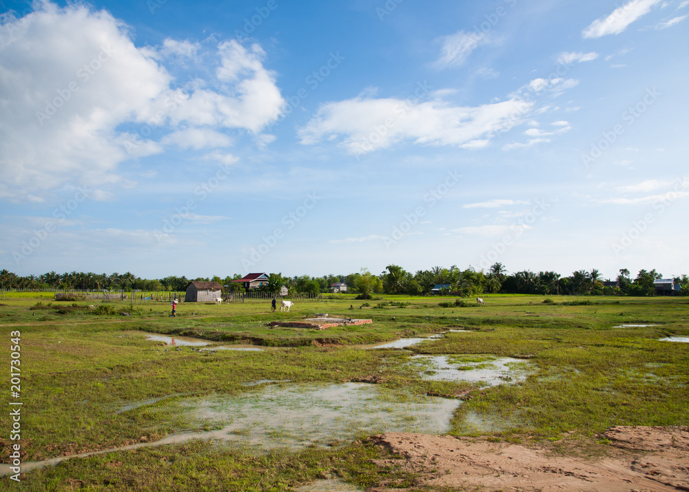 カンボジアの田舎の風景