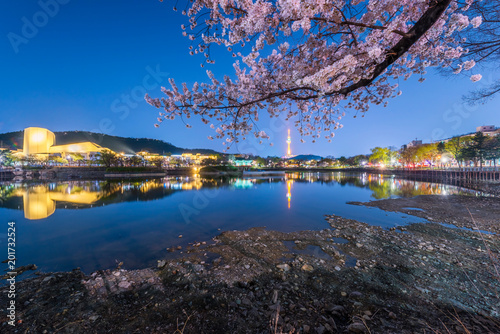 83 Tower is a landmark of Daegu city at night and cherry blossom tree during the spring season this area is popular sakura spot at in Daegu city South Korea.