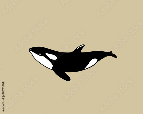 Hand drawn killer whale